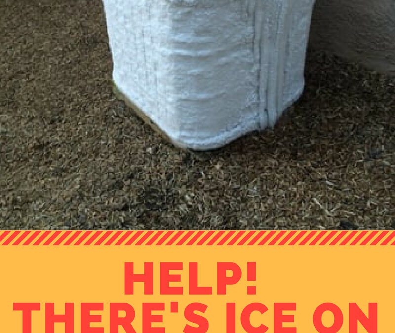 Help! There’s Ice on My Air Conditioner…